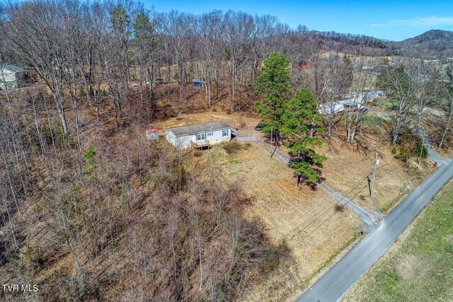 drone / aerial view with a mountain view and a view of trees
