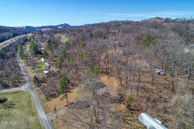 birds eye view of property featuring a mountain view and a forest view