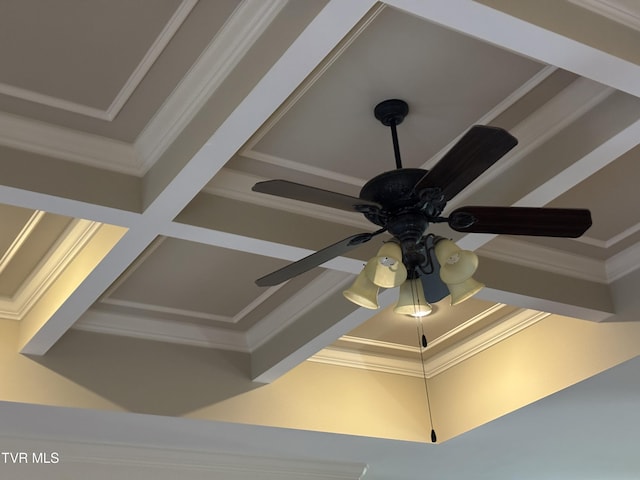 interior details with a ceiling fan and crown molding