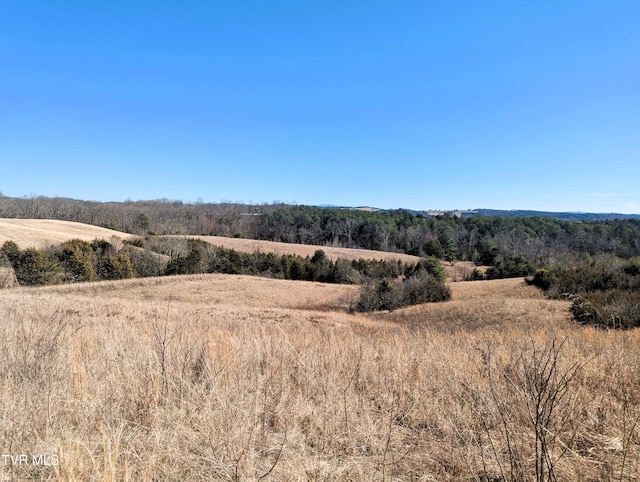 25.1ACRES Turner Hill Rd, Mosheim TN, 37818 land for sale