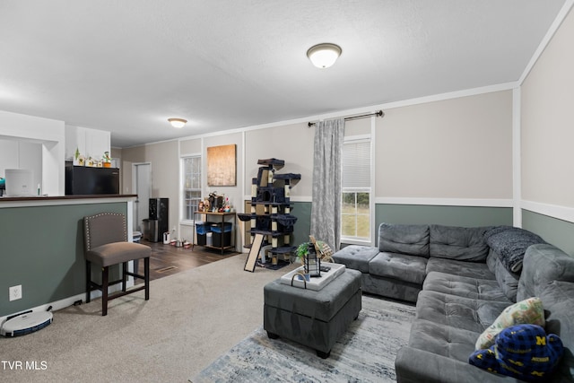 carpeted living room with ornamental molding