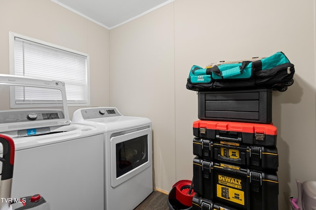 laundry area featuring wood finished floors, laundry area, crown molding, and separate washer and dryer