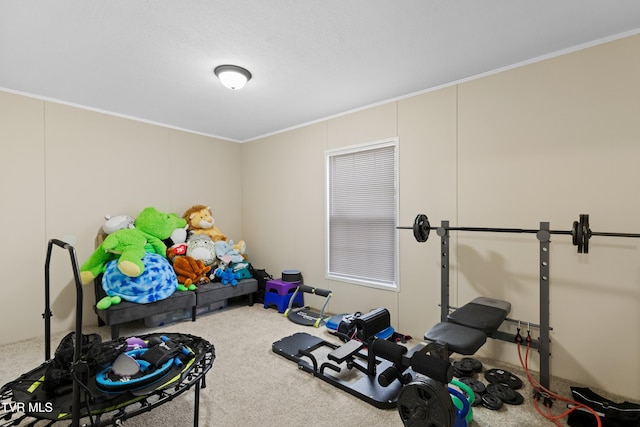 workout area with carpet and crown molding