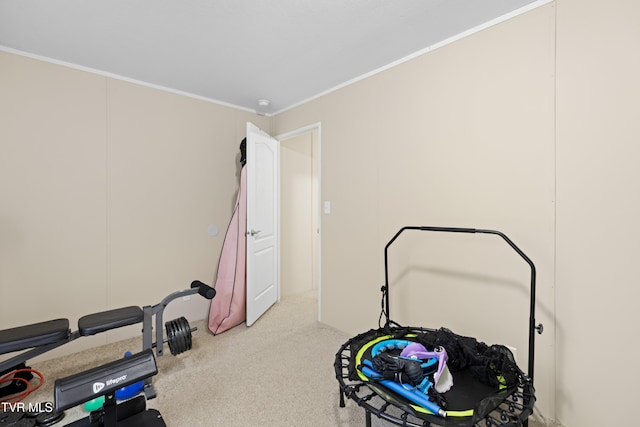 workout area with carpet and crown molding