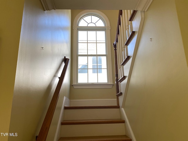 stairs with baseboards