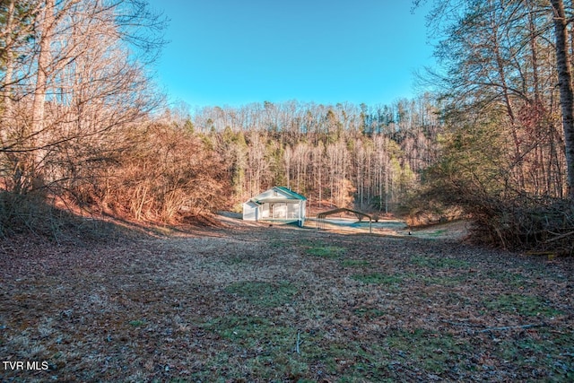 view of yard with a forest view