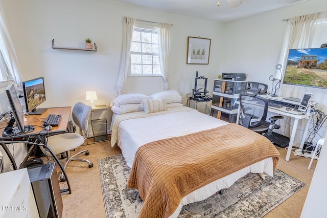 bedroom with carpet floors