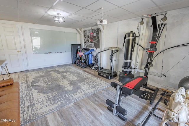 workout room featuring a drop ceiling and wood finished floors