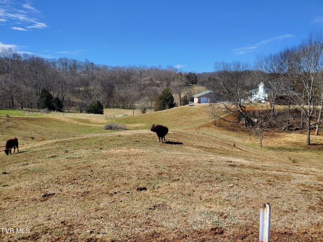 view of yard with a rural view