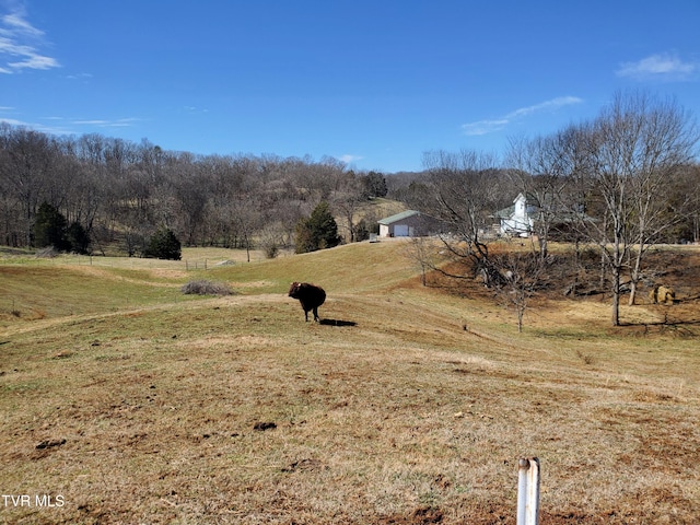 view of yard featuring a rural view