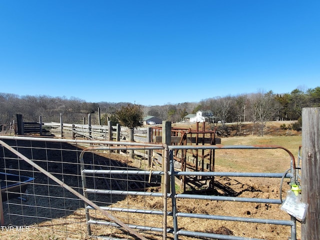 view of yard with a rural view