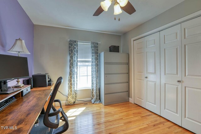 office featuring ceiling fan, light wood-style flooring, and baseboards