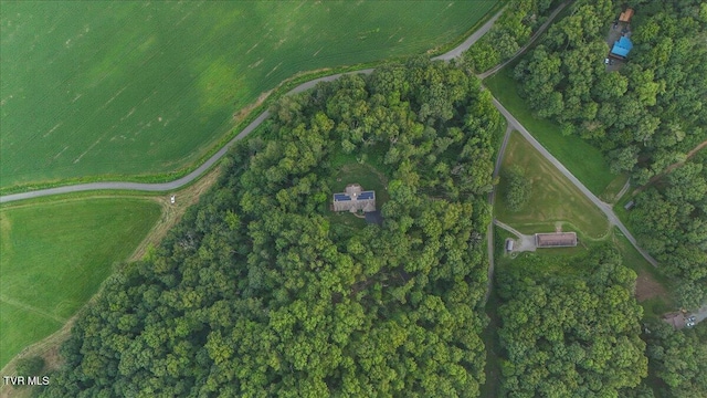 138 Gate Hollow Rd, Mountain City, TN 37683 - photo 60