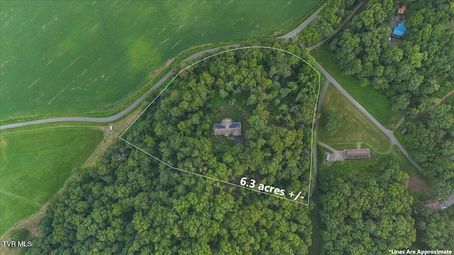 138 Gate Hollow Rd, Mountain City, TN 37683 - photo 58