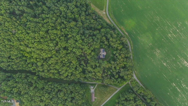 138 Gate Hollow Rd, Mountain City, TN 37683 - photo 61