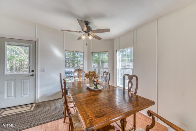 dining space with a ceiling fan and wood finished floors