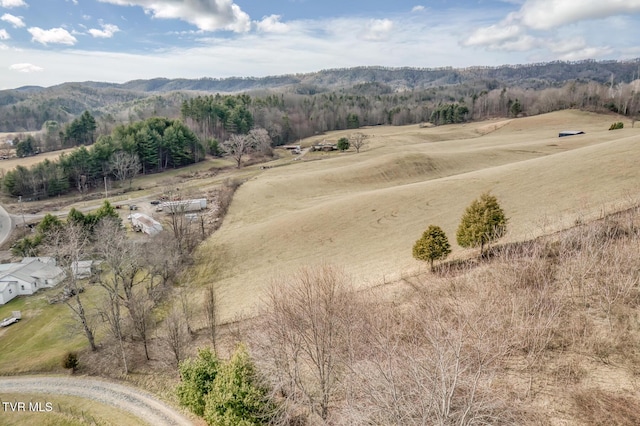 aerial view featuring a rural view and a mountain view