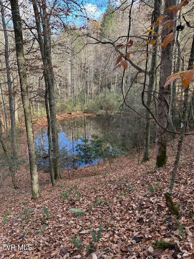 TBD Retriever Ln, Haysi VA, 24256 land for sale