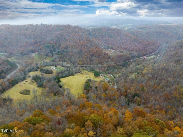 Tbd Natural Tunnel Parkway, Duffield VA, 24244 land for sale