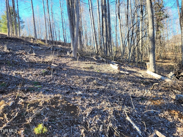 Listing photo 2 for TBD Hoot Owl Ridge Rd, Mountain City TN 37683