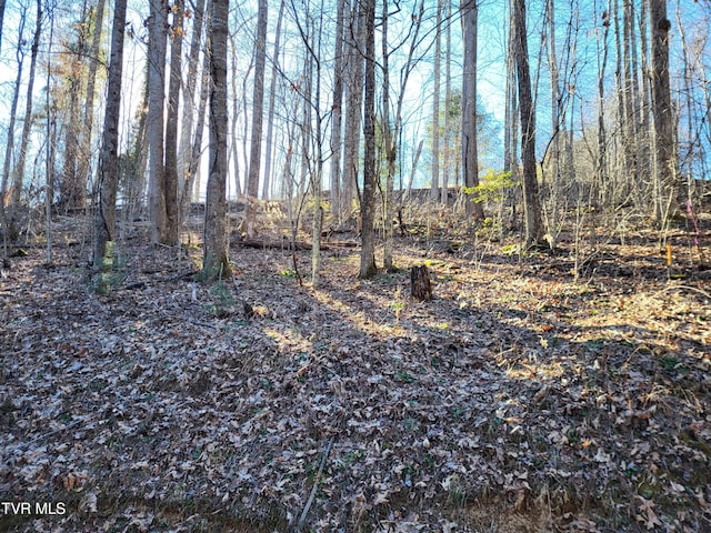 Listing photo 3 for TBD Hoot Owl Ridge Rd, Mountain City TN 37683