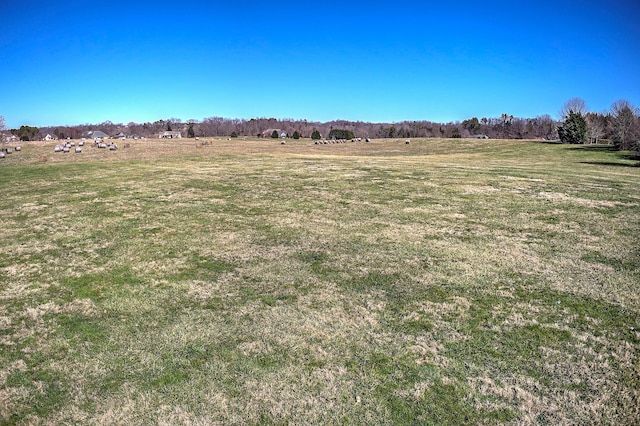 LT4 Waterstone Cir, Greeneville, TN 37745