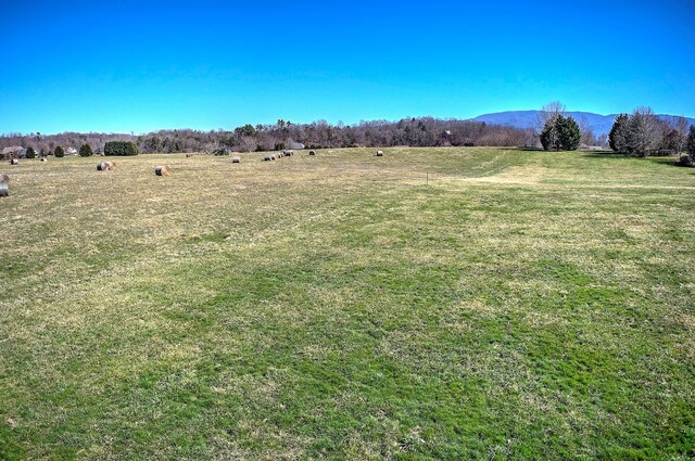 LT4 Waterstone Cir, Greeneville, TN 37745