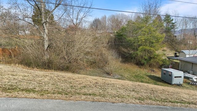 TBA Shelby Ave, Church Hill TN, 37642 land for sale