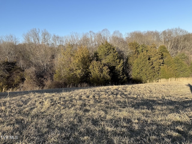 view of nature with a view of trees