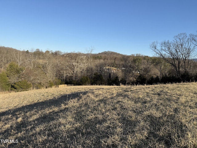 view of landscape featuring a rural view