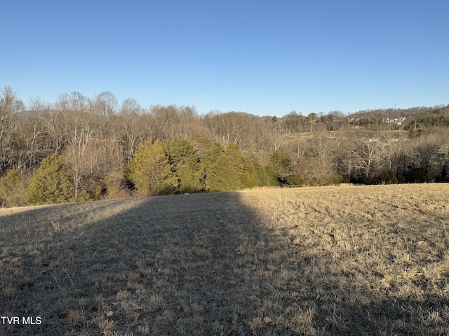 view of local wilderness