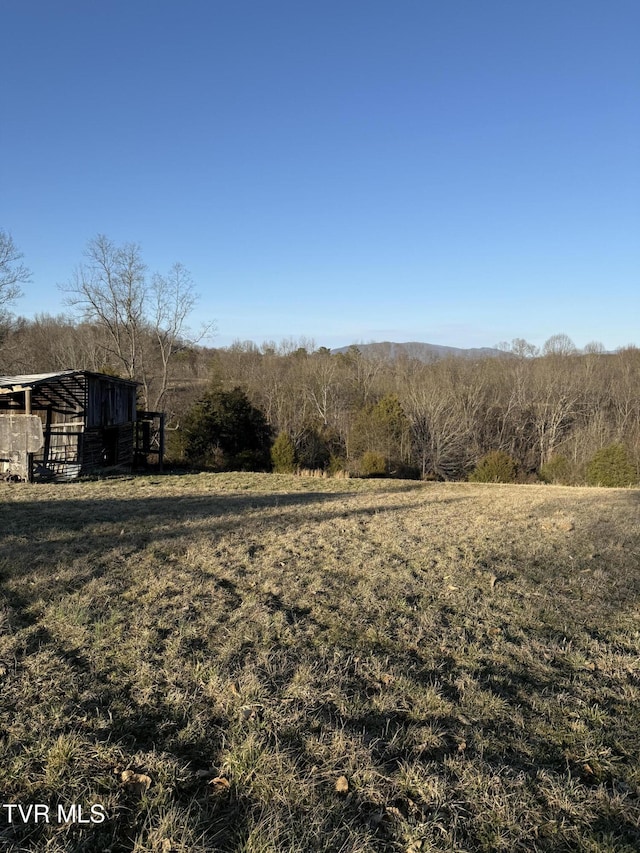 view of yard with a rural view