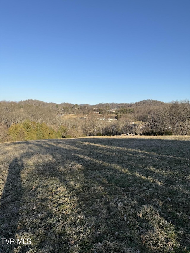 view of yard with a rural view