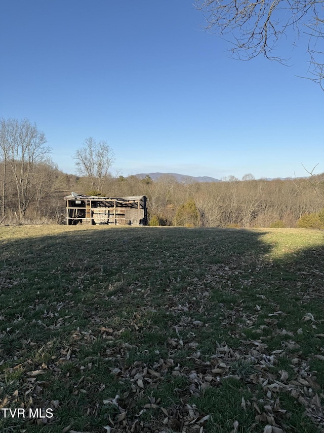 view of yard with a rural view