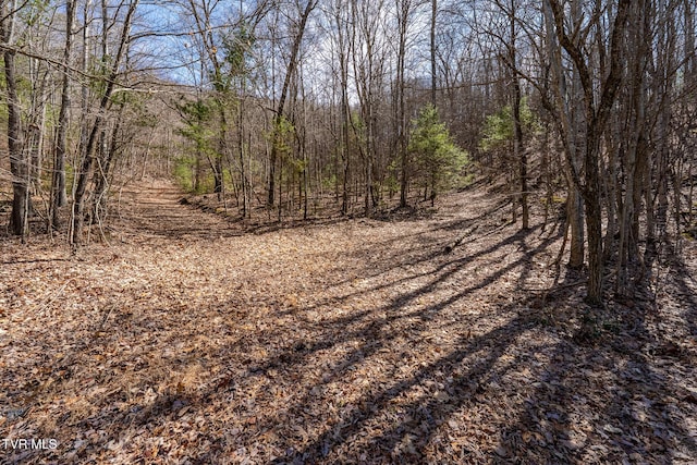 Lot1,3,4 Callalantee Course, Mountain City TN, 37683 land for sale