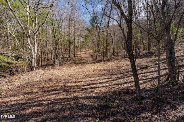 Listing photo 3 for Lot1,3,4 Callalantee Course, Mountain City TN 37683