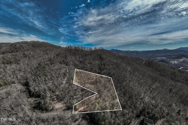 Listing photo 2 for Lot1,3,4 Callalantee Course, Mountain City TN 37683