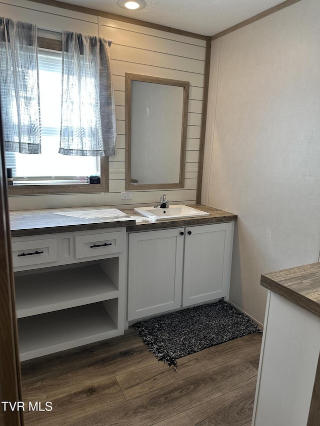 bathroom featuring wooden walls, ornamental molding, wood finished floors, and vanity