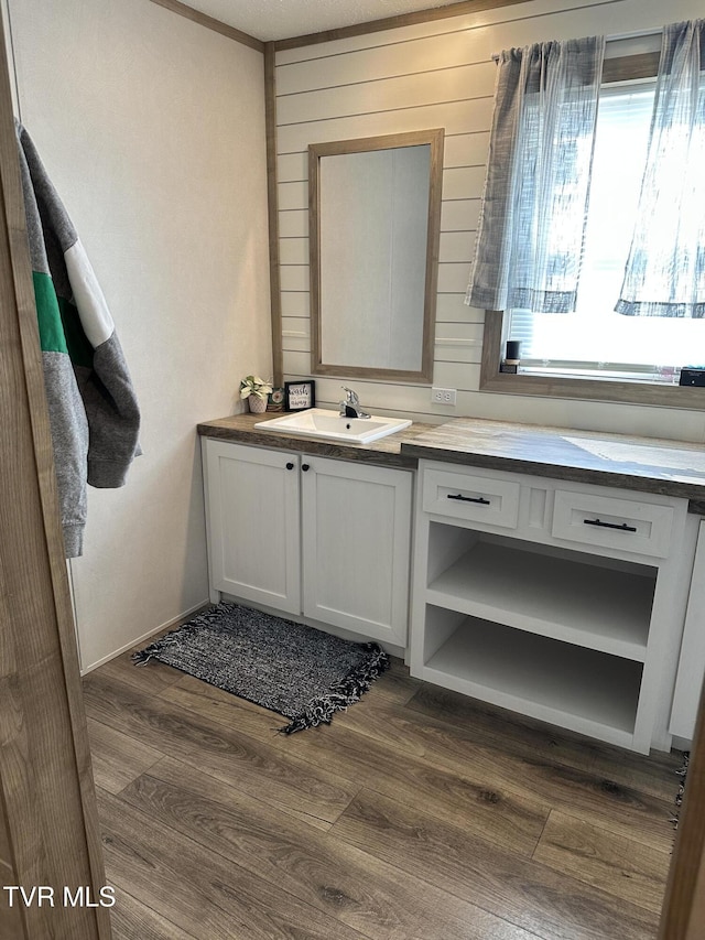 bathroom with wood finished floors and vanity