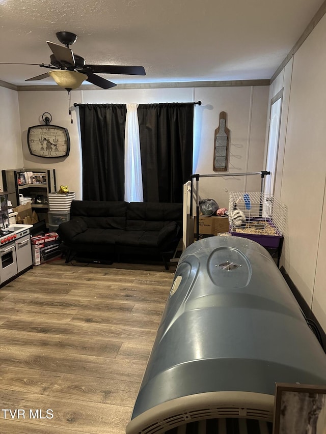 living room featuring a ceiling fan and wood finished floors