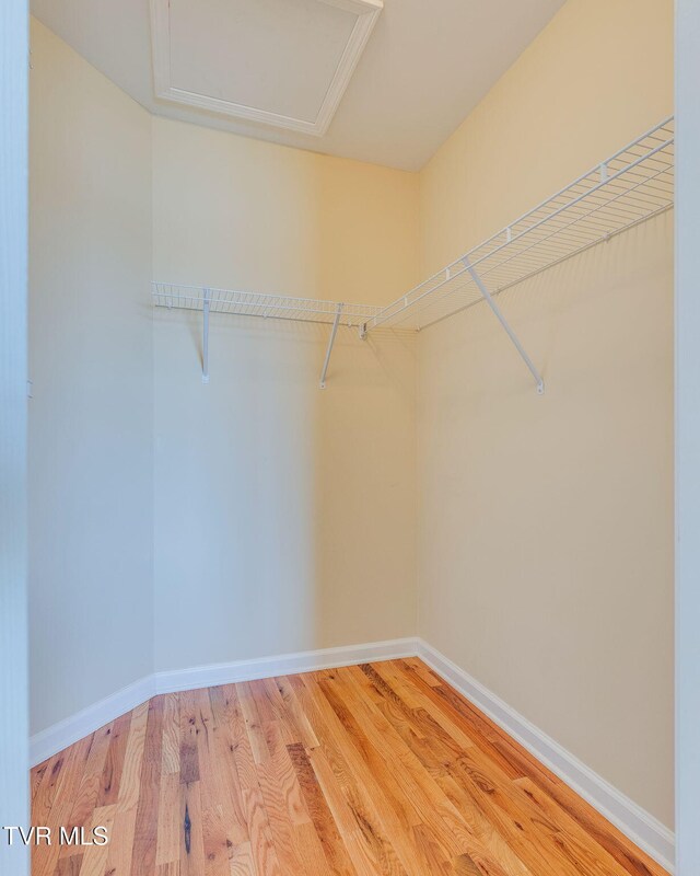 walk in closet with attic access and wood finished floors