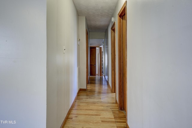 hall with baseboards, a textured ceiling, and light wood finished floors