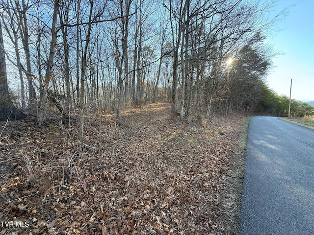 Listing photo 2 for 5ACRES Red Hill Rd, Newport TN 37821