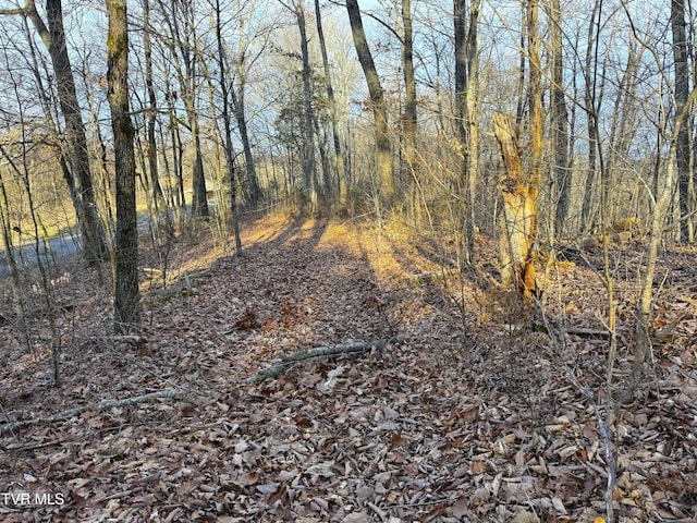 Listing photo 3 for 5ACRES Red Hill Rd, Newport TN 37821