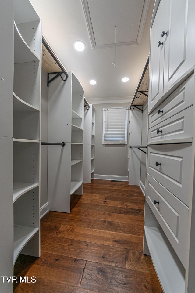 spacious closet with attic access and dark wood-style flooring