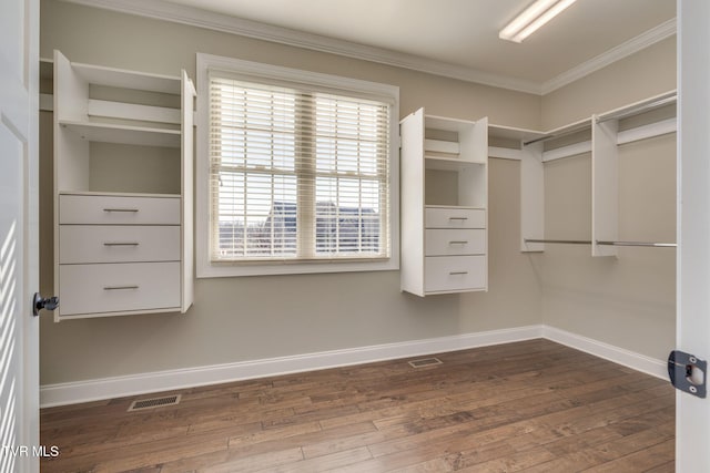 walk in closet featuring dark wood-style floors and visible vents