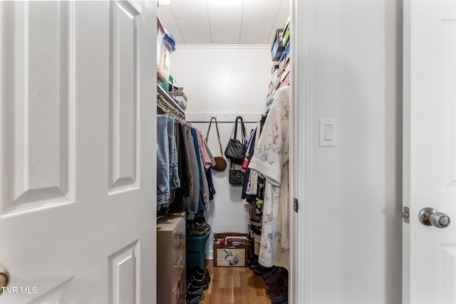 spacious closet with wood finished floors