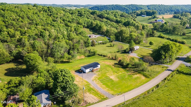 3066 Poplar Springs Rd, Greeneville, TN 37743 - photo 2