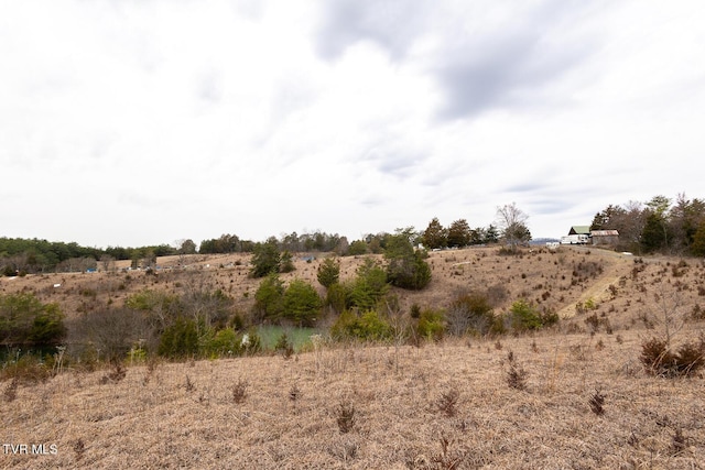 view of local wilderness with a rural view