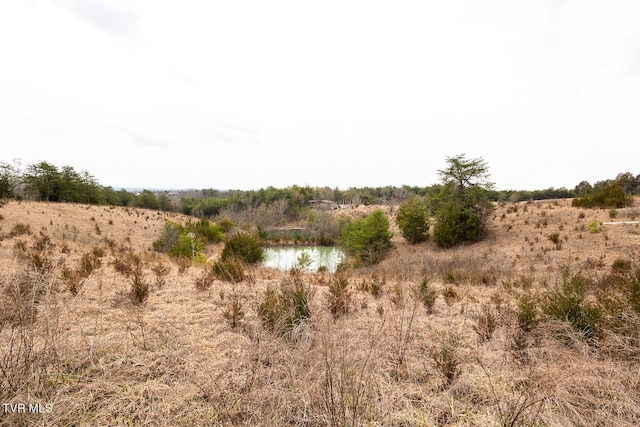 view of landscape with a water view